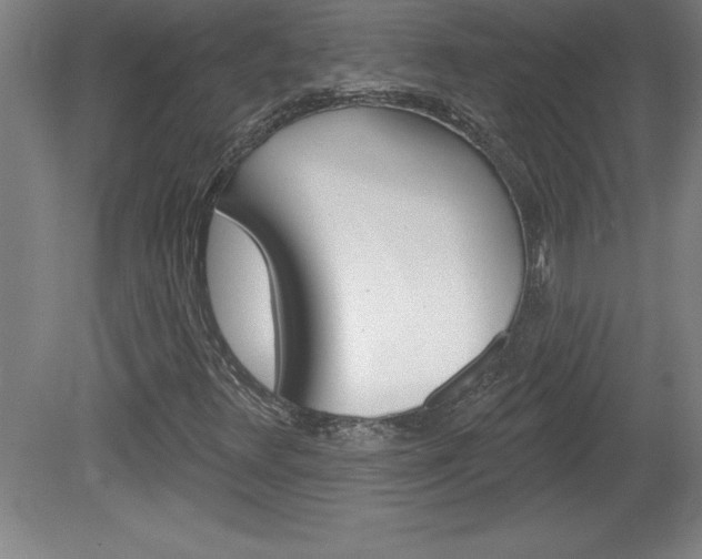 X0000078831348200611130921