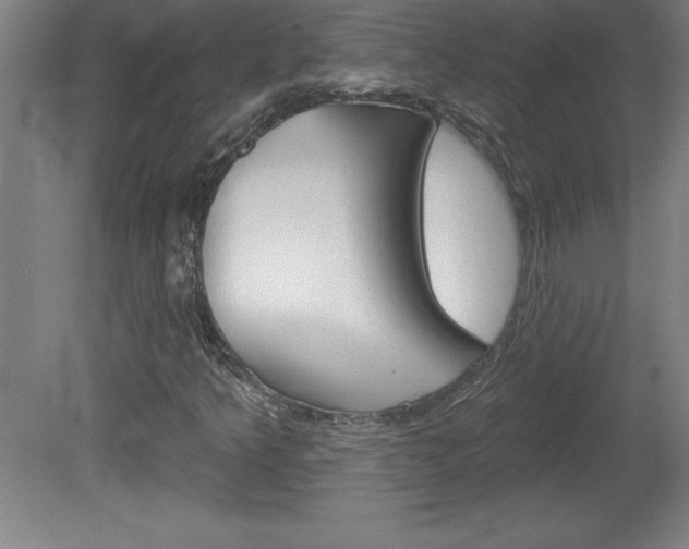 X0000078831349200611130921