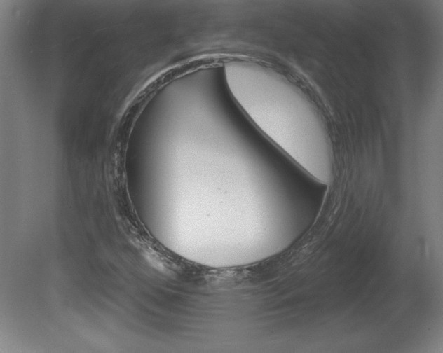 X0000078831352200611130921