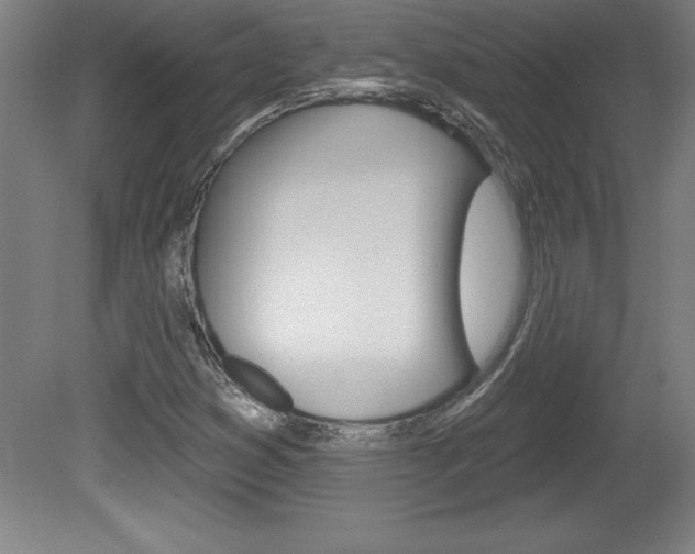 X0000078831353200611130921