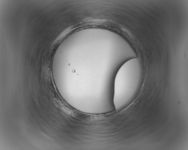 X0000078831354200611130921