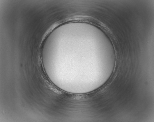 X0000078831362200611130921