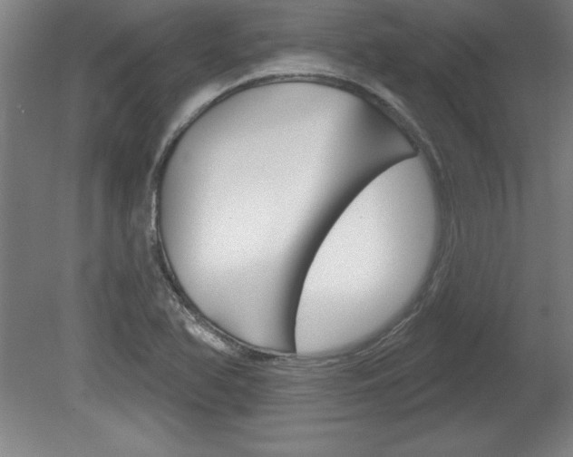 X0000078831366200611130921