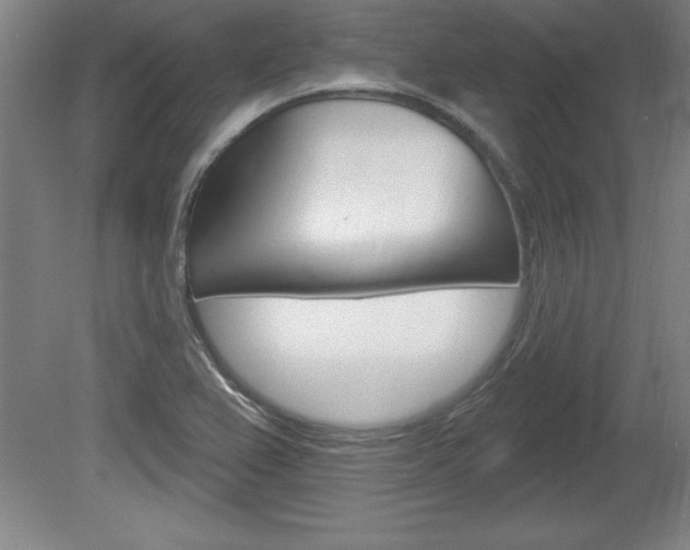 X0000078831367200611130921