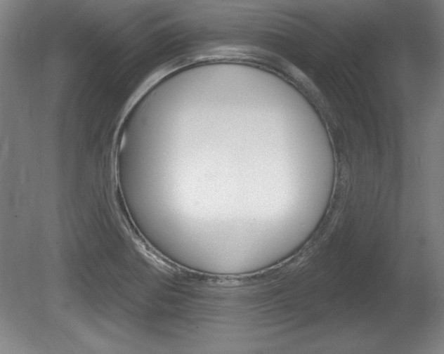X0000078831370200611130921