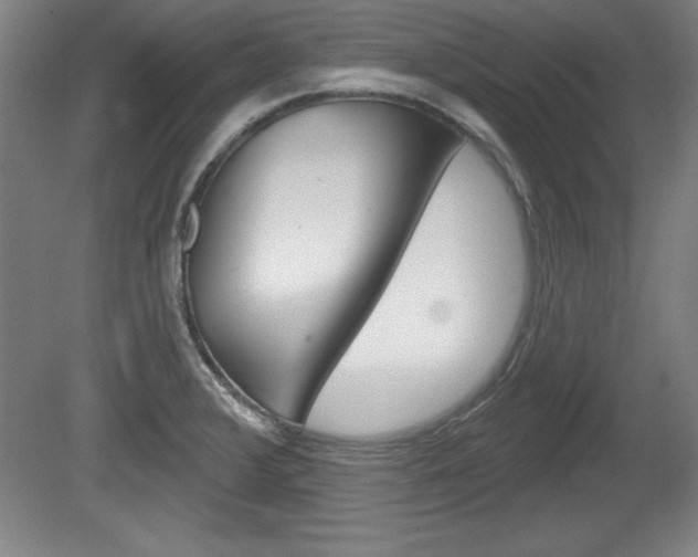 X0000078831376200611130921