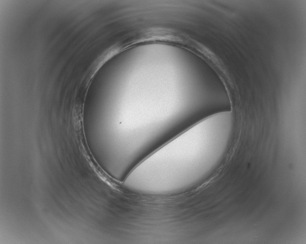 X0000078831377200611130921