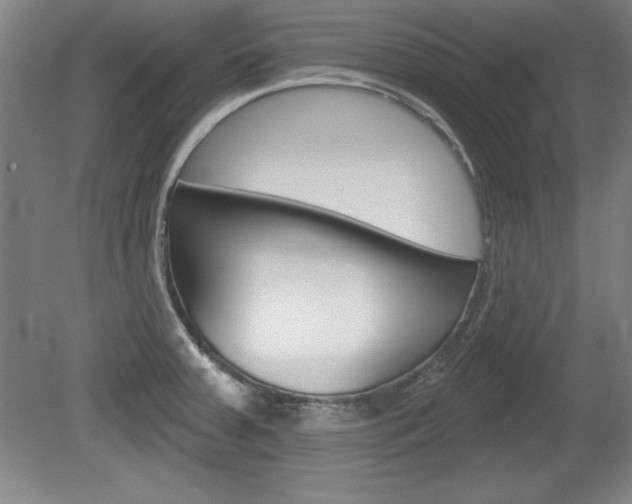 X0000078831379200611130921