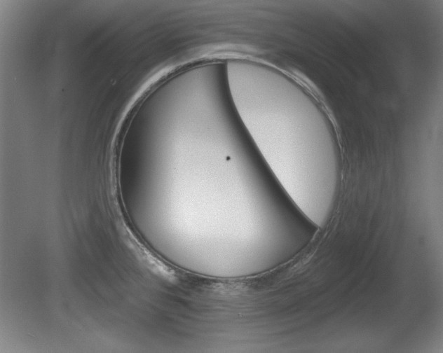 X0000078831384200611130920