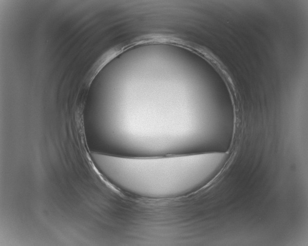 X0000078831385200611130920