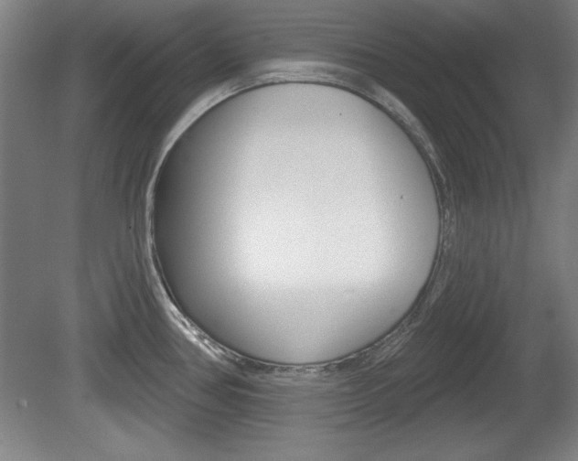 X0000078831386200611130920