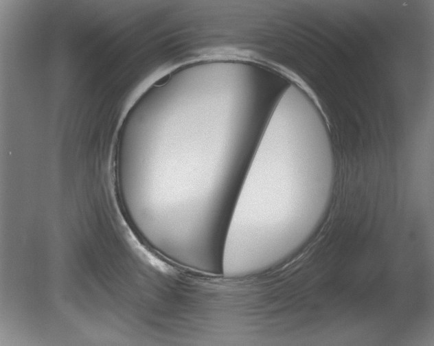 X0000078831387200611130920