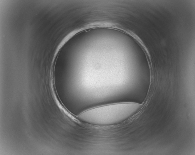 X0000078831389200611130920