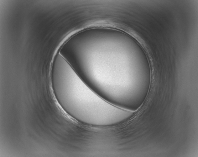 X0000078831392200611130920