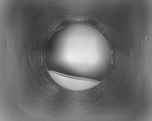 X0000078831394200611130920
