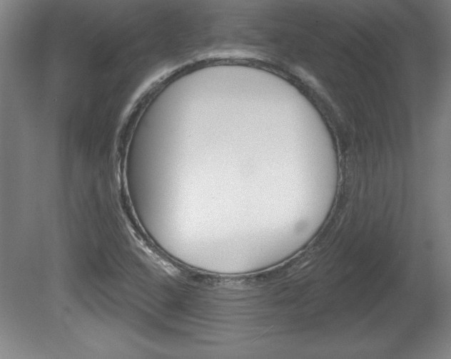 X0000078831408200611130920