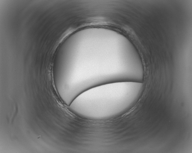 X0000078831409200611130920