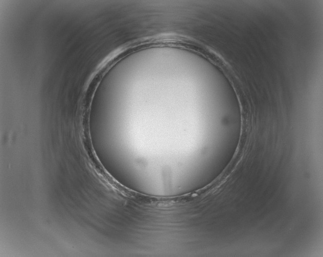 X0000078831410200611130920