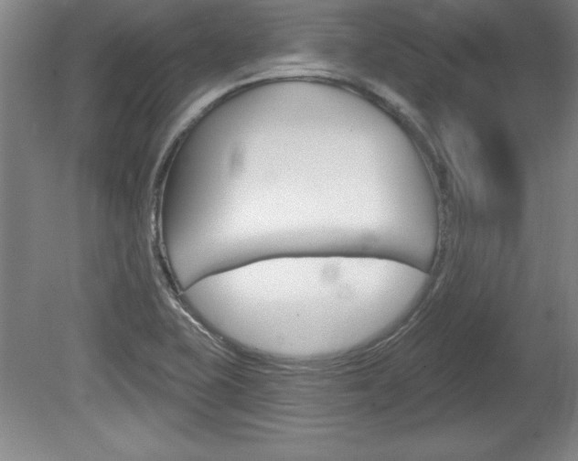 X0000078831415200611130920
