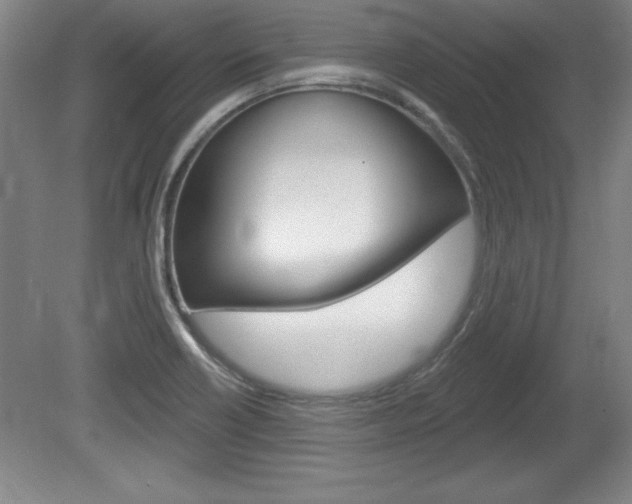 X0000078831418200611130920