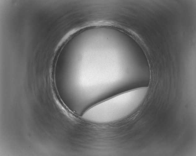 X0000078831422200611130920