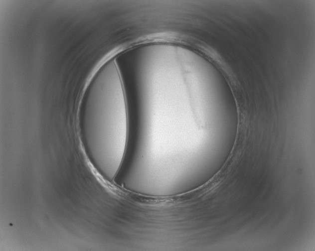 X0000078831426200611130920