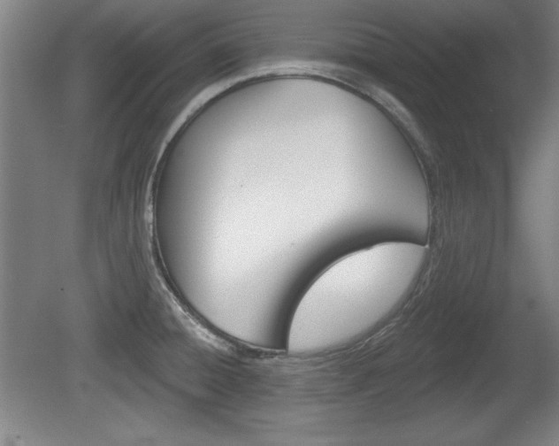 X0000078831428200611130920