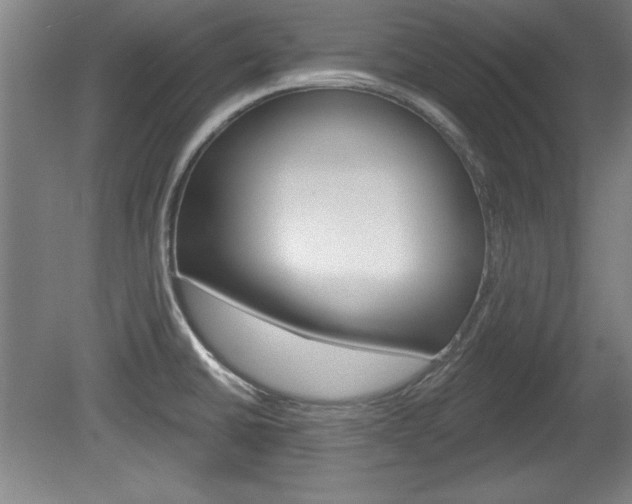 X0000078831430200611130920