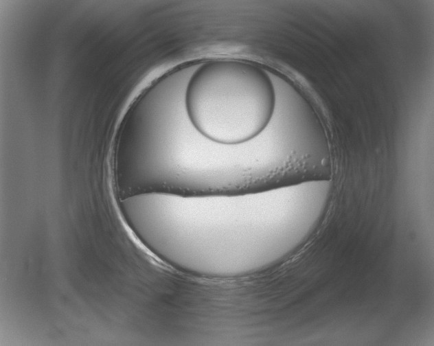 X0000078831432200611130920
