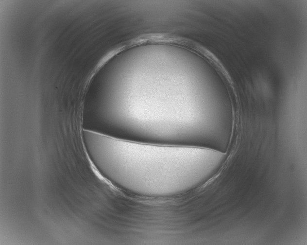 X0000078831433200611130920