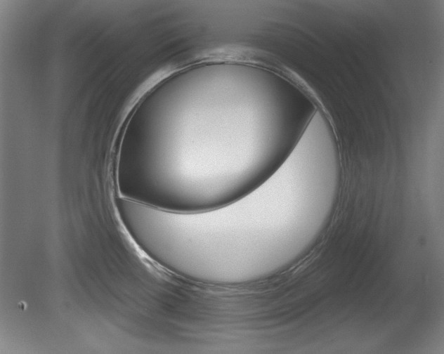 X0000078831434200611130920