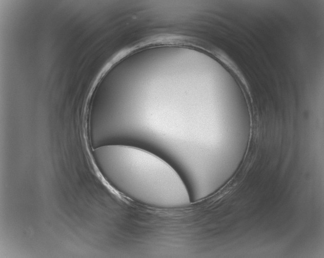 X0000078831437200611130920