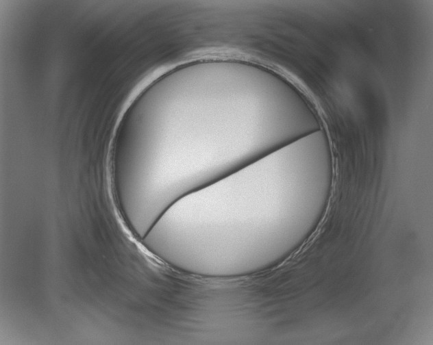 X0000078831440200611130920
