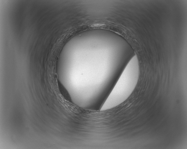 X0000078831441200611130920