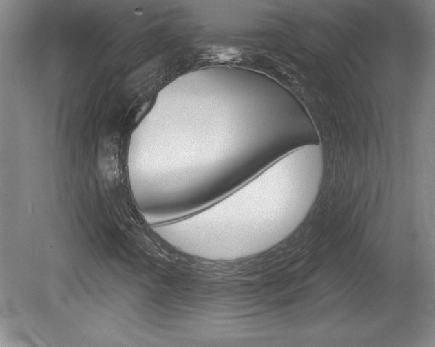 X0000078831442200611130920