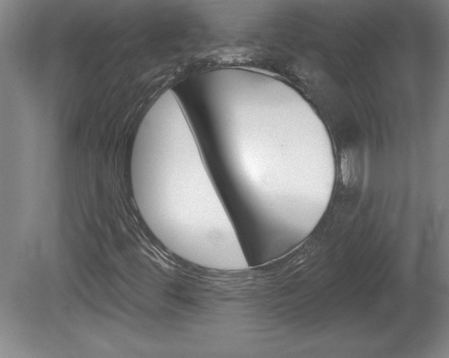 X0000078831444200611130919