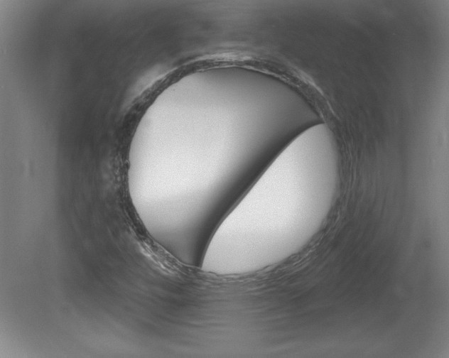 X0000078831448200611130919
