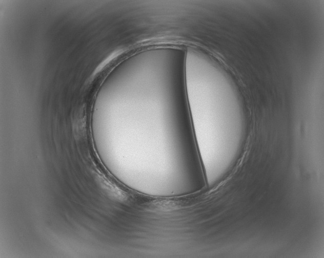 X0000078831450200611130919