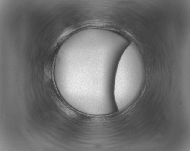 X0000078831451200611130919