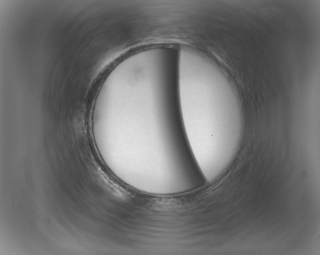 X0000078831452200611130919
