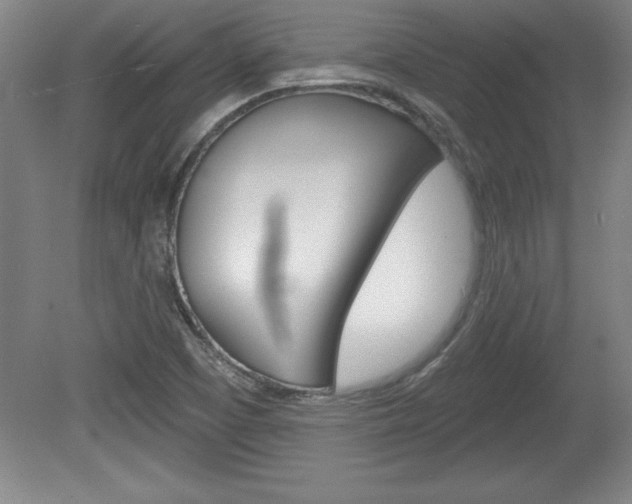 X0000078831457200611130919