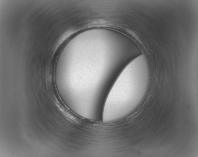 X0000078831458200611130919