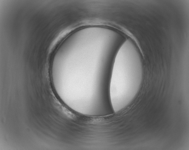 X0000078831464200611130919