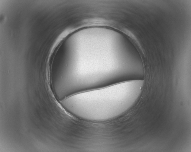 X0000078831472200611130919