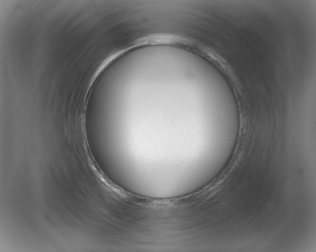 X0000078831473200611130919