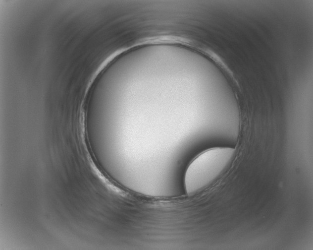 X0000078831476200611130919