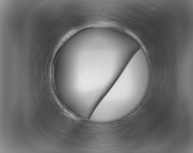 X0000078831477200611130919