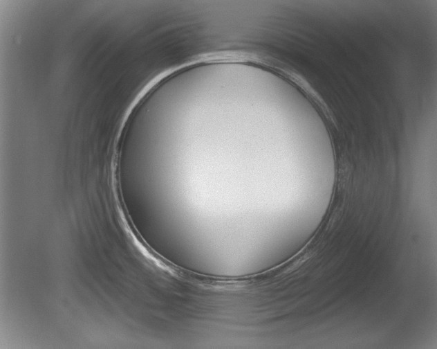 X0000078831484200611130919