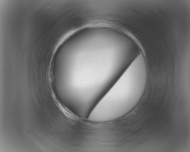 X0000078831485200611130919