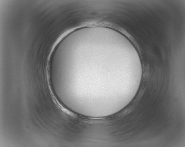 X0000078831486200611130919